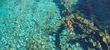 水質(zhì)怎么分類的？