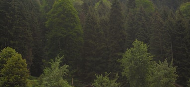 環(huán)境部答復(fù)“建議國家加大對固體廢物處理技術(shù)和專項設(shè)備的研發(fā)投入，增加專業(yè)處理機構(gòu)的數(shù)量”的建議